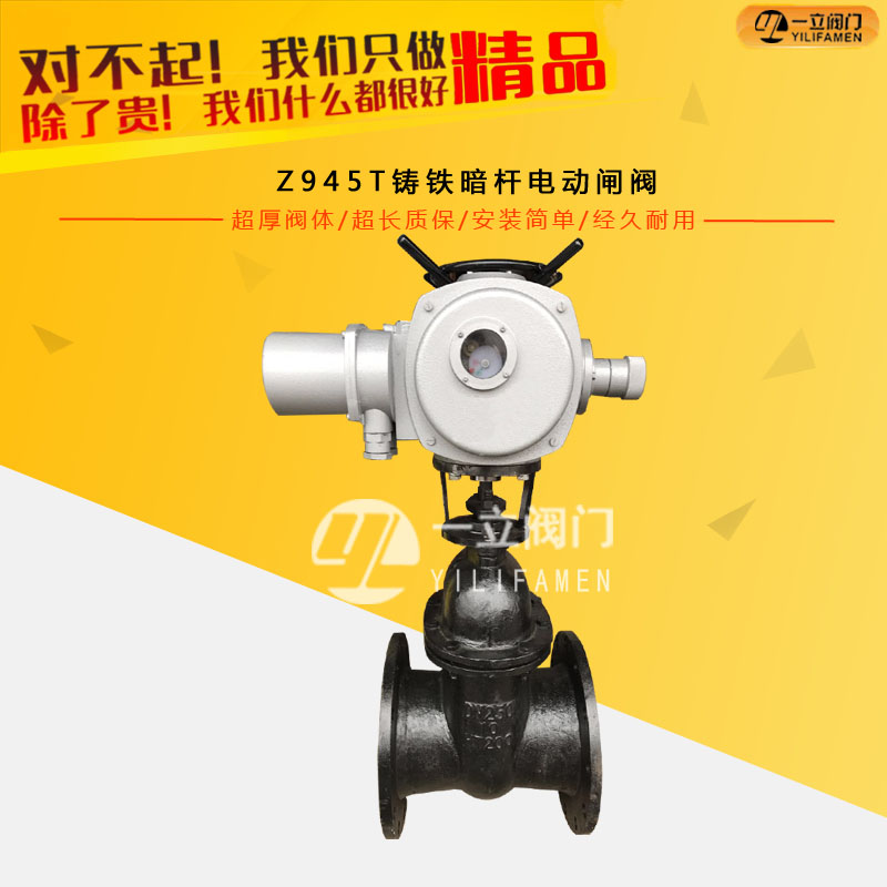 Z945T鑄鐵暗桿電動(dòng)閘閥